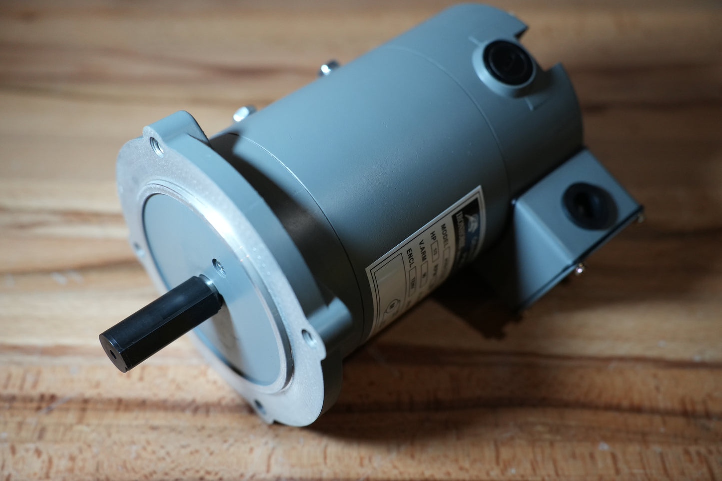 Infeed Conveyor Motor